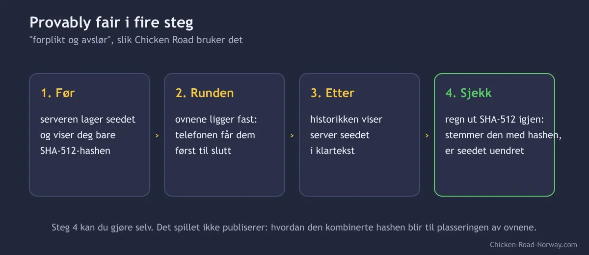 Diagram over provably fair: hashen av server seedet vises før runden, selve seedet først etterpå