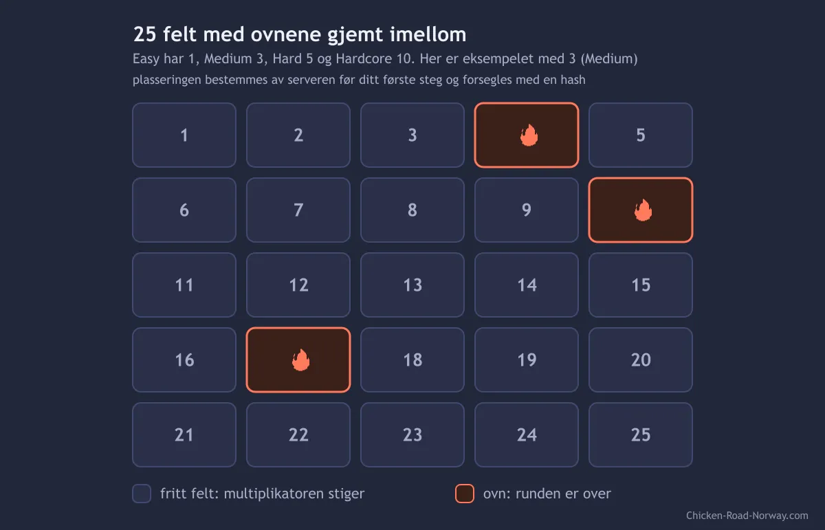 Diagram over de 25 feltene i Chicken Road med tre skjulte ovner markert i rødt